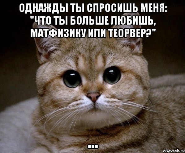 Однажды ты спросишь меня: "Что ты больше любишь, матфизику или теорвер?" ..., Мем Пидрила Ебаная