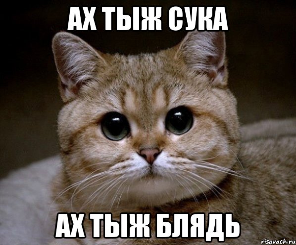 АХ ТЫЖ СУКА АХ ТЫЖ БЛЯДЬ, Мем Пидрила Ебаная