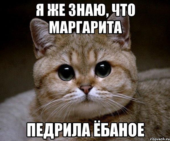 Я же знаю, что Маргарита ПЕДРИЛА ЁБАНОЕ, Мем Пидрила Ебаная