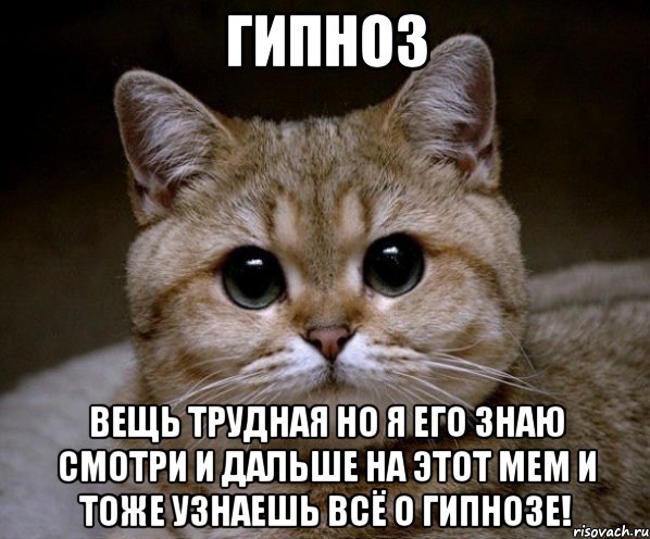 гипноз вещь трудная но я его знаю смотри и дальше на этот мем и тоже узнаешь всё о гипнозе!, Мем Пидрила Ебаная