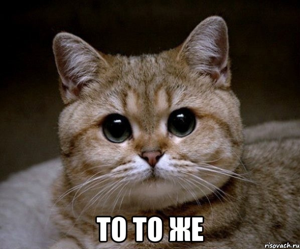  то то же, Мем Пидрила Ебаная