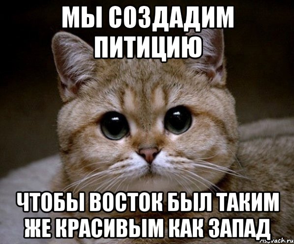 Мы создадим питицию Чтобы Восток был таким же красивым как Запад, Мем Пидрила Ебаная