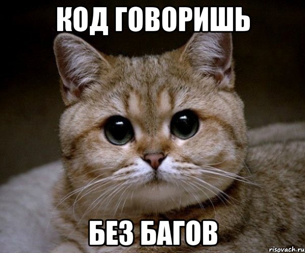 код говоришь без багов, Мем Пидрила Ебаная