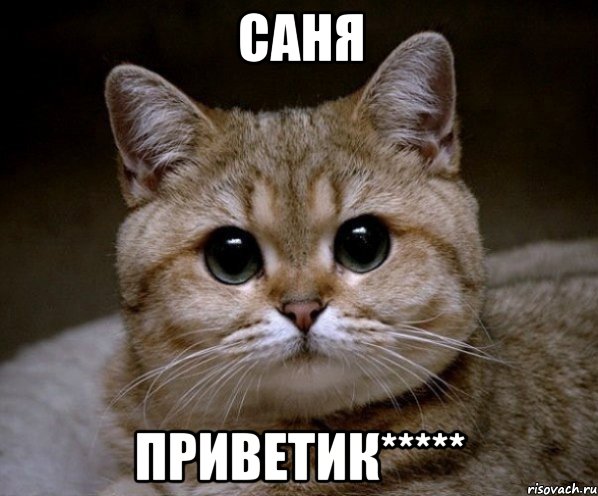 Саня Приветик*****, Мем Пидрила Ебаная