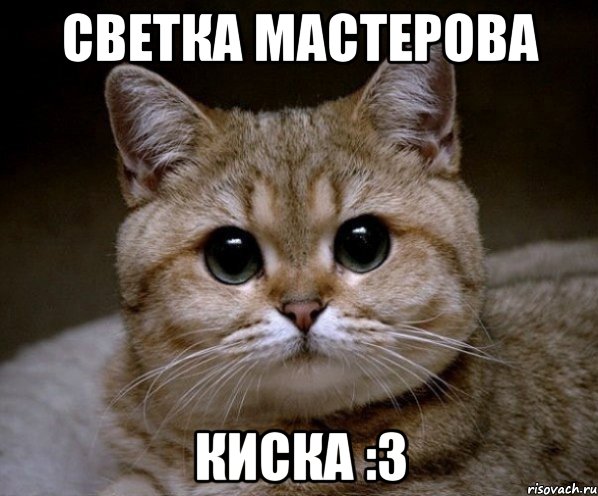 светка мастерова киска :3, Мем Пидрила Ебаная