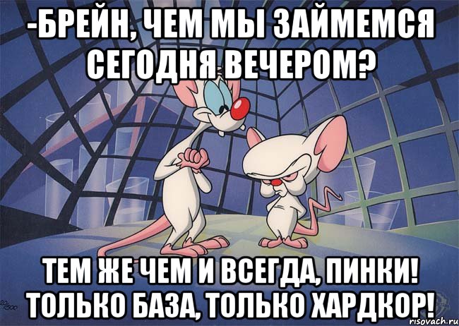 -Брейн, чем мы займемся сегодня вечером? Тем же чем и всегда, Пинки! Только база, только хардкор!, Мем ПИНКИ И БРЕЙН