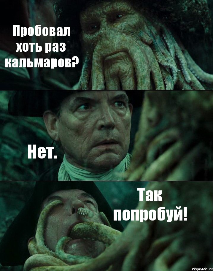 Пробовал хоть раз кальмаров? Нет. Так попробуй!