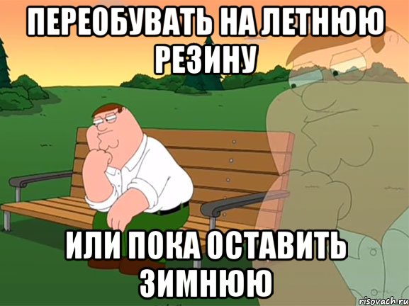 Переобувать на летнюю резину или пока оставить зимнюю, Мем Задумчивый Гриффин