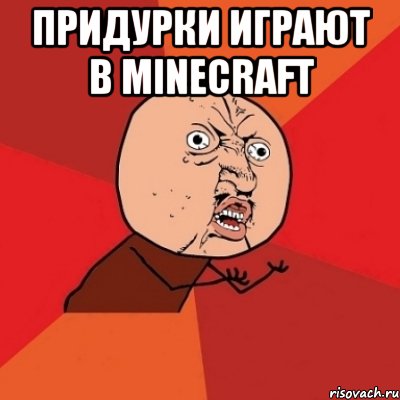 придурки играют в minecraft , Мем Почему