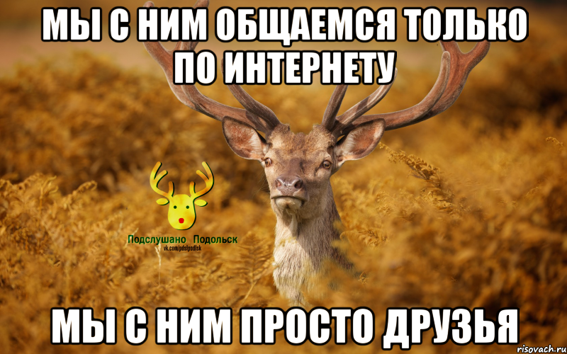 мы с ним общаемся только по интернету мы с ним просто друзья