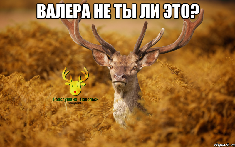 Валера не ты ли это? 