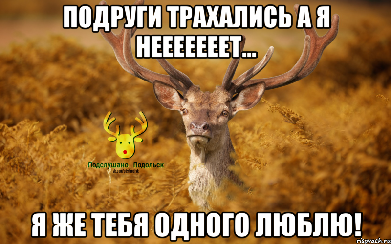 Подруги трахались а я нееееееет... Я же тебя одного люблю!
