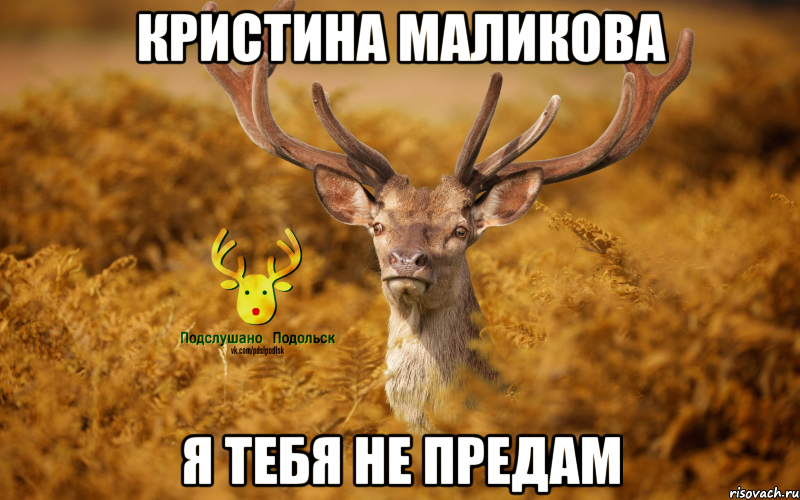 КРИСТИНА МАЛИКОВА Я ТЕБЯ НЕ ПРЕДАМ