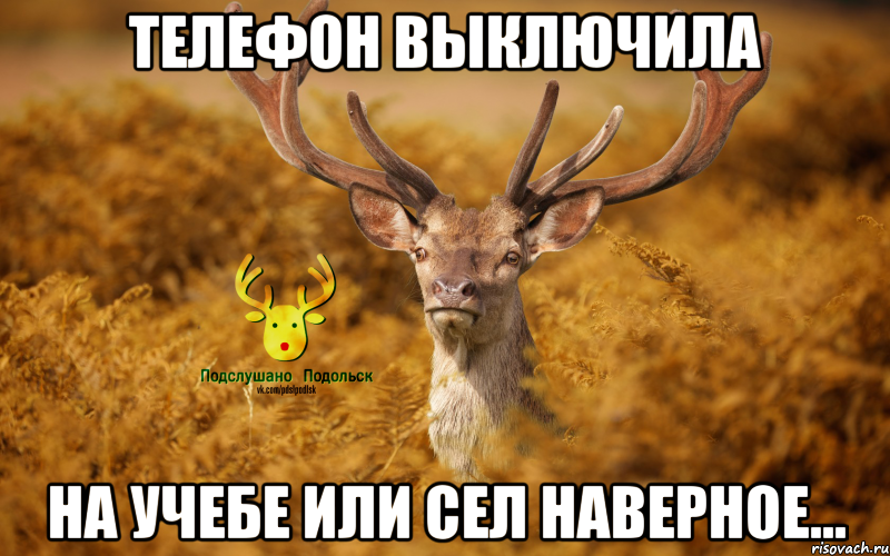 телефон выключила на учебе или сел наверное...