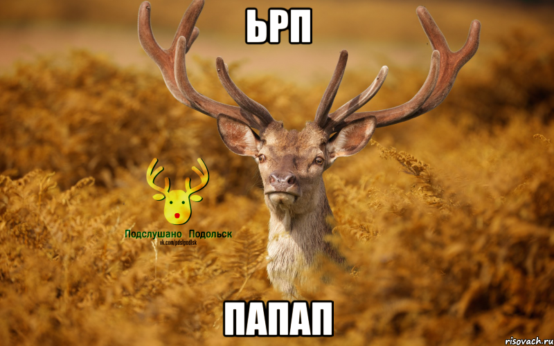 ьрп папап