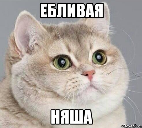 ебливая няша