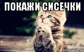 Покажи сисечки 