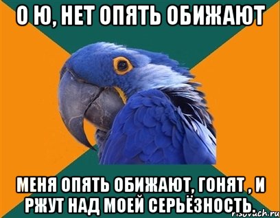 О Ю, нет Опять обижают меня опять обижают, гонят , и ржут над моей серьёзность., Мем Попугай параноик