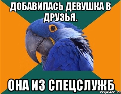 ДОБАВИЛАСЬ ДЕВУШКА В ДРУЗЬЯ. ОНА ИЗ СПЕЦСЛУЖБ, Мем Попугай параноик