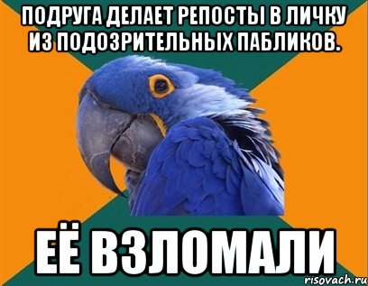 ПОДРУГА ДЕЛАЕТ РЕПОСТЫ В ЛИЧКУ ИЗ ПОДОЗРИТЕЛЬНЫХ ПАБЛИКОВ. ЕЁ ВЗЛОМАЛИ, Мем Попугай параноик