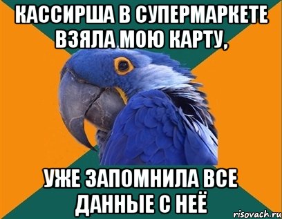 КАССИРША В СУПЕРМАРКЕТЕ ВЗЯЛА МОЮ КАРТУ, УЖЕ ЗАПОМНИЛА ВСЕ ДАННЫЕ С НЕЁ, Мем Попугай параноик