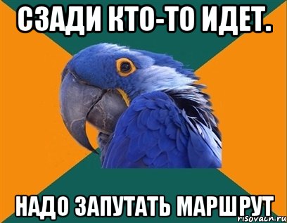 СЗАДИ КТО-ТО ИДЕТ. НАДО ЗАПУТАТЬ МАРШРУТ, Мем Попугай параноик