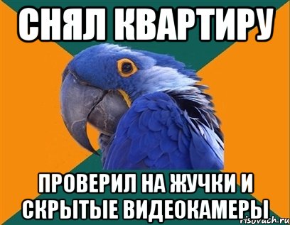 СНЯЛ КВАРТИРУ ПРОВЕРИЛ НА ЖУЧКИ И СКРЫТЫЕ ВИДЕОКАМЕРЫ, Мем Попугай параноик