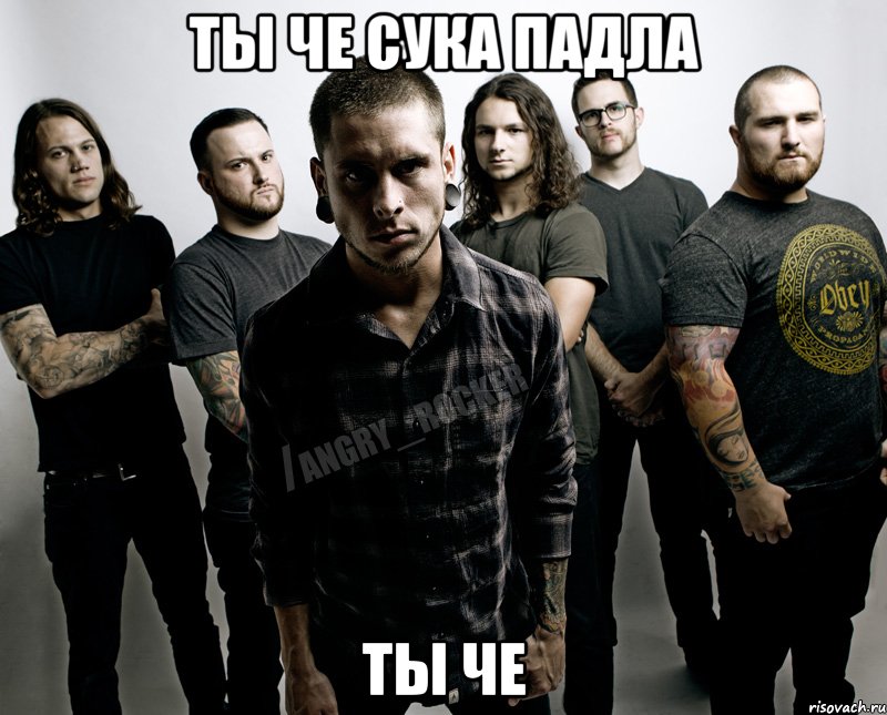 Ты че сука падла Ты че