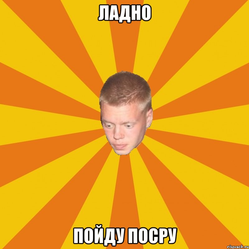 ЛАДНО ПОЙДУ ПОСРУ