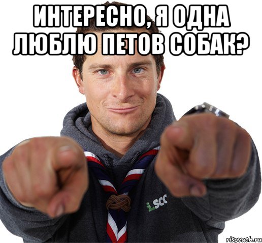 Интересно, я одна люблю петов собак? , Мем прикол