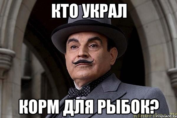 кто украл корм для рыбок?