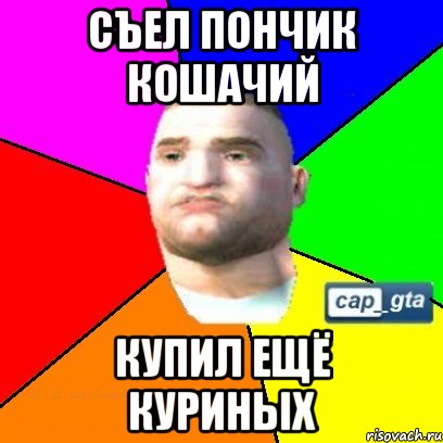 съел пончик кошачий купил ещё куриных