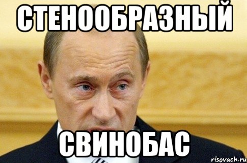 Стенообразный свинобас, Мем путин