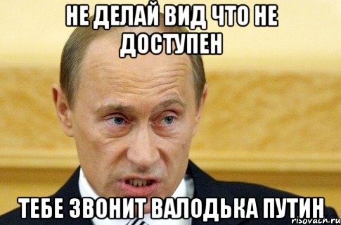 не делай вид что не доступен тебе звонит валодька путин, Мем путин