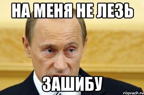 на меня не лезь зашибу, Мем путин