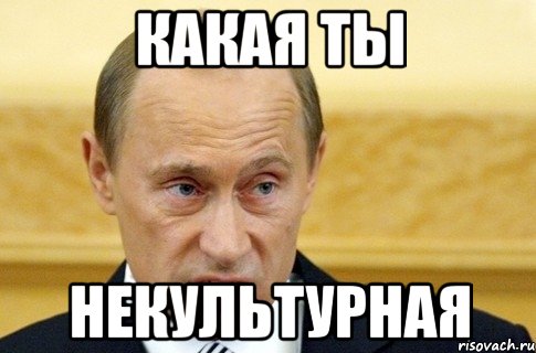 какая ты некультурная, Мем путин