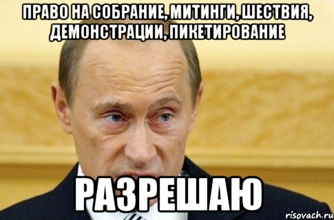 Право на собрание, митинги, шествия, демонстрации, пикетирование разрешаю, Мем путин