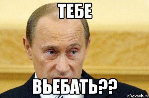 тебе вьебать??, Мем путин