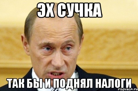 Эх сучка Так бы и поднял налоги, Мем путин