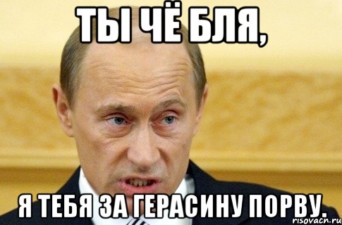 ТЫ ЧЁ БЛЯ, Я ТЕБЯ ЗА ГЕРАСИНУ ПОРВУ., Мем путин