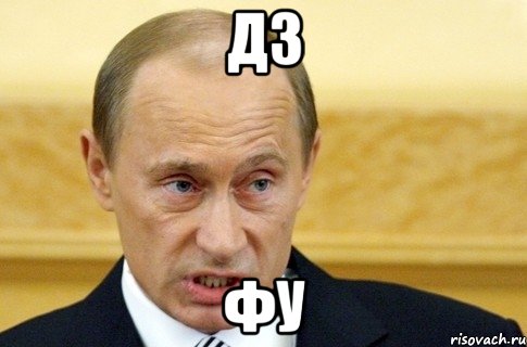 дз фу, Мем путин