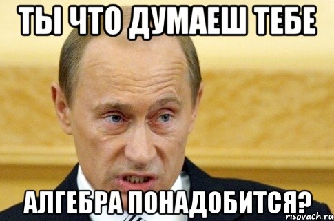 ты что думаеш тебе алгебра понадобится?, Мем путин