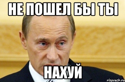 Не пошел бы ты НАХУЙ, Мем путин