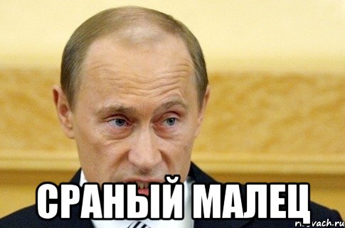  сраный малец, Мем путин