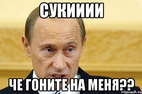 Сукииии че гоните на меня??, Мем путин