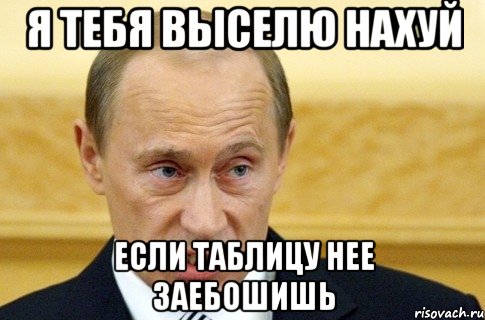 я тебя выселю нахуй если таблицу нее заебошишь, Мем путин