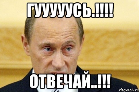 Гууууусь.!!!! Отвечай..!!!, Мем путин