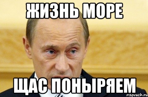 Жизнь море Щас поныряем, Мем путин