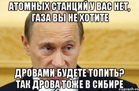 атомных станций у вас нет, газа вы не хотите дровами будете топить? так дрова тоже в сибире, Мем путин