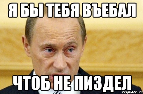 Я бы тебя въебал чтоб не пиздел, Мем путин